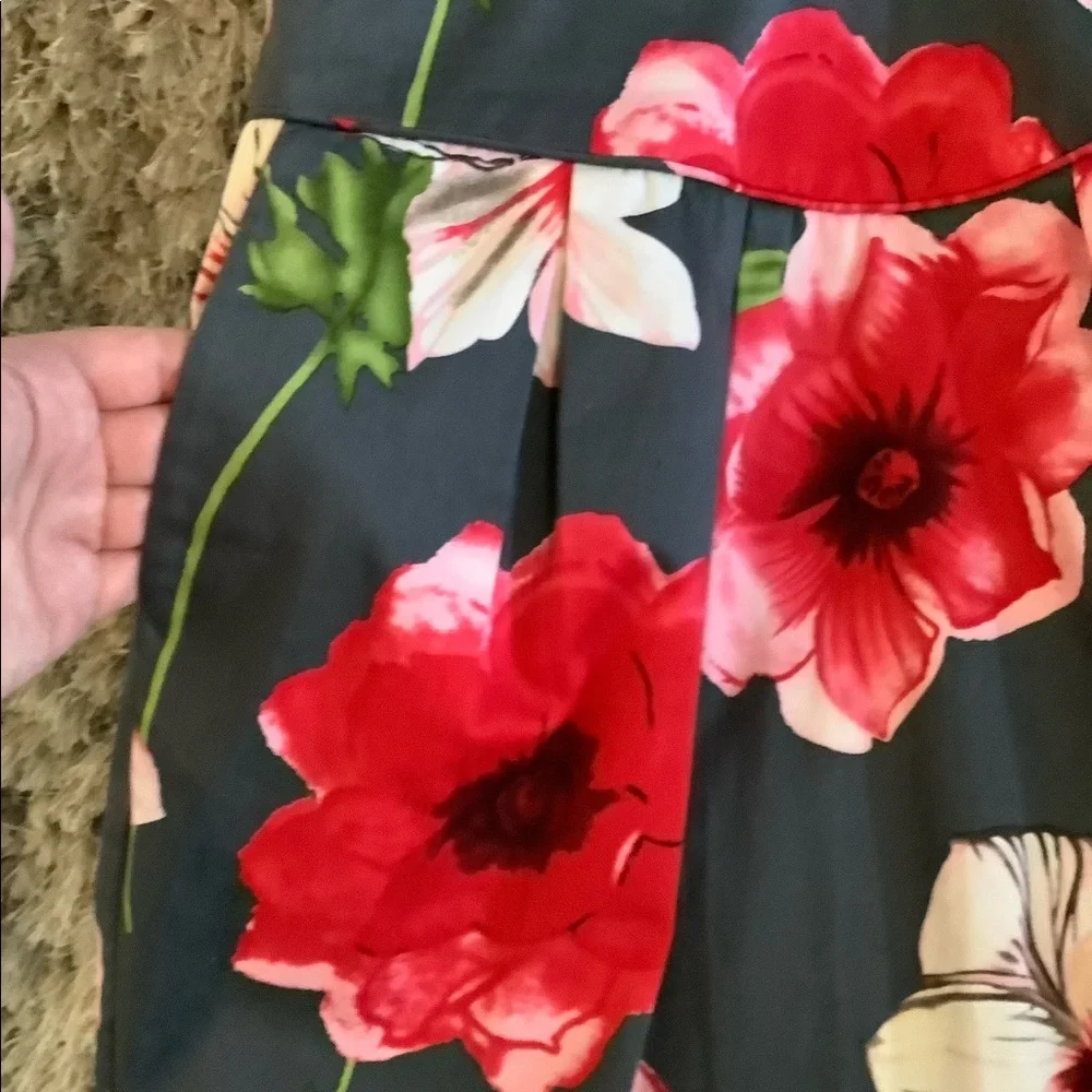 Anthropologie Hollyhock Dress by Sine - Picture 6 of 10